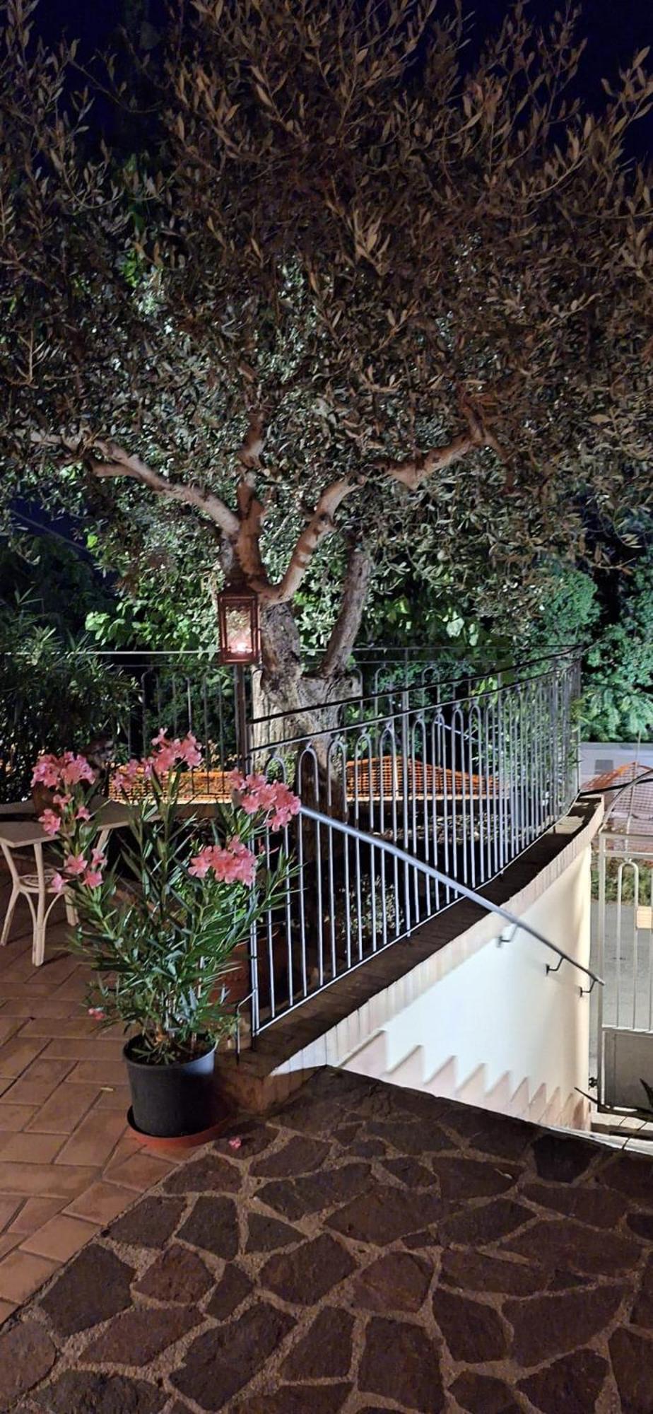 מונטפרנדונה B&B Palazzo Mestichelli Boutique Palace מראה חיצוני תמונה